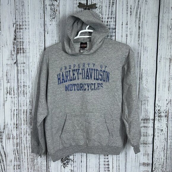 Lot of 4 Harley Davidson Mens Hoodies Sweatshirts Size L Motorcycle Biker Y2K - Picture 2 of 9